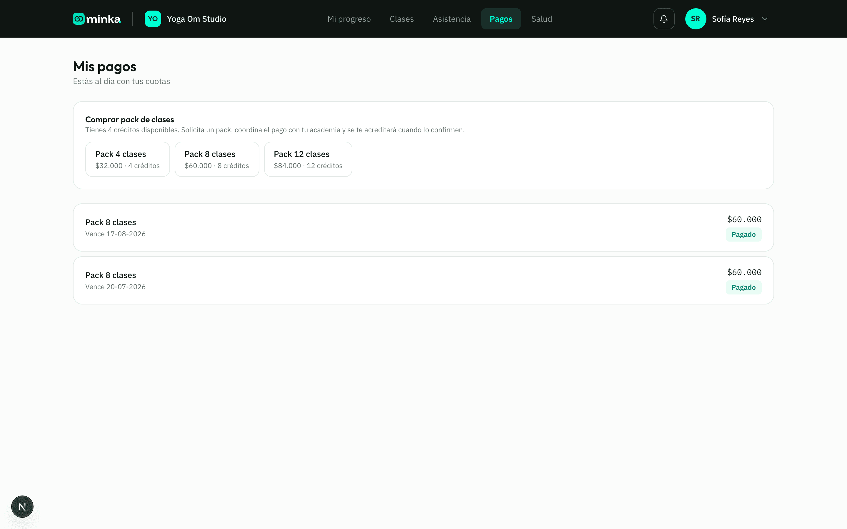 Sección Pagos del portal del miembro, con los packs de créditos disponibles para solicitar